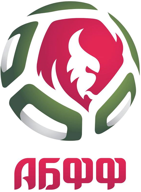 UEFA Belarus 2014-Pres Primary Logo iron on transfers